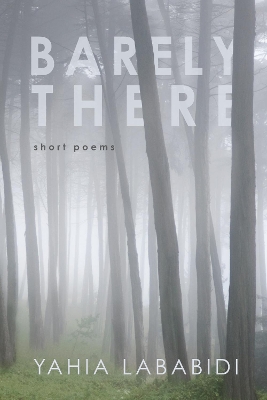 Barely There book