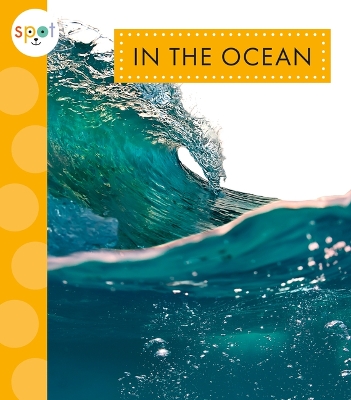 In the Ocean book