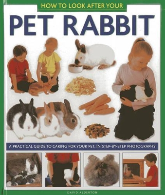 How to Look After Your Pet Rabbit book