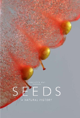 Seeds by Carolyn Fry