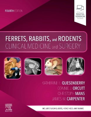 Ferrets, Rabbits, and Rodents: Clinical Medicine and Surgery book