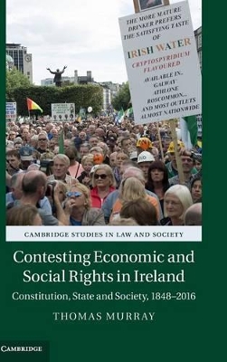 Contesting Economic and Social Rights in Ireland book