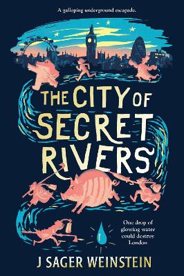 The City of Secret Rivers book