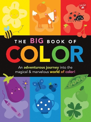 Big Book of Color book