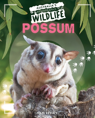 Australia's Remarkable Wildlife: Possum book