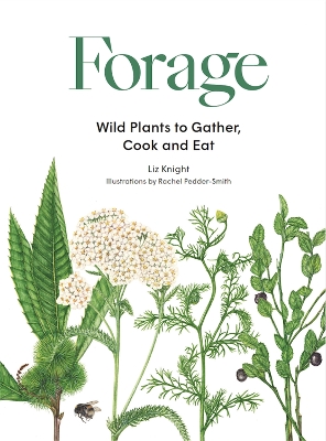 Forage: Wild plants to gather and eat book