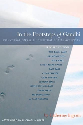 In The Footsteps Of Gandhi book