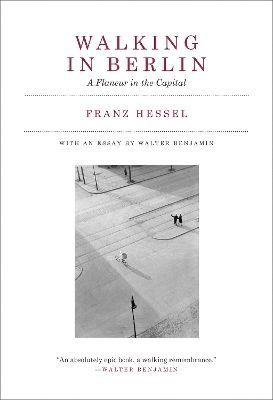 Walking in Berlin: A Flaneur in the Capital book