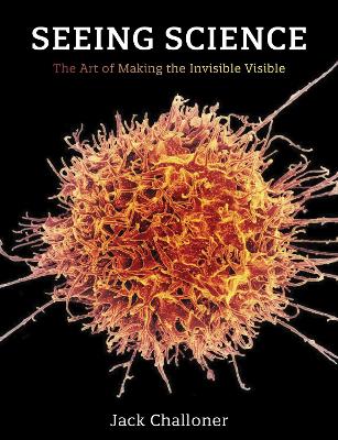 Seeing Science: The Art of Making the Invisible Visible book