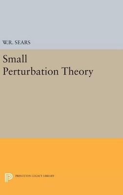 Small Perturbation Theory book