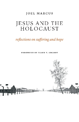 Jesus and the Holocaust book