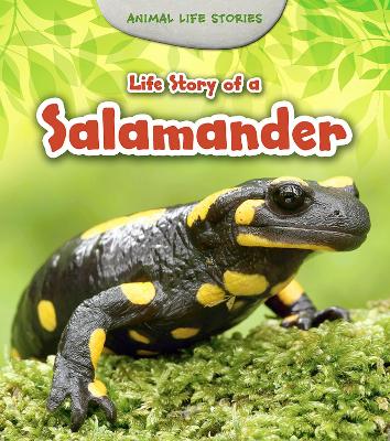 Life Story of a Salamander book