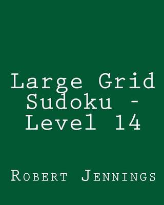 Large Grid Sudoku - Level 14: 80 Easy to Read, Large Print Sudoku Puzzles book