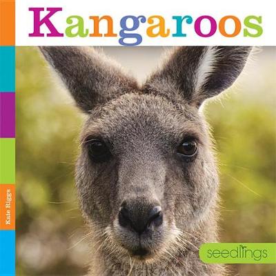 Kangaroos book