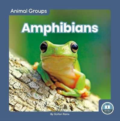 Amphibians book