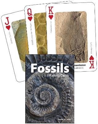 Fossils Playing Cards book