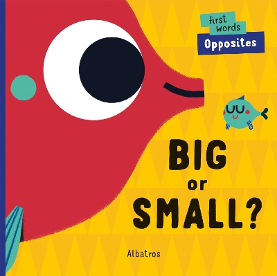 Big or Small? book