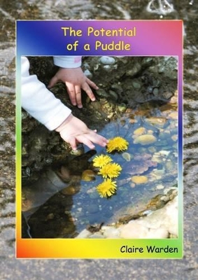 The Potential of a Puddle book