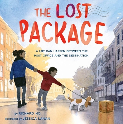 The Lost Package book