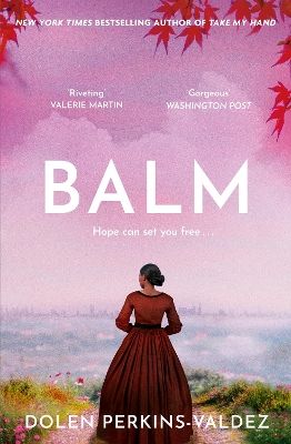 Balm: From the New York Times bestselling author of Take My Hand by Dolen Perkins-Valdez