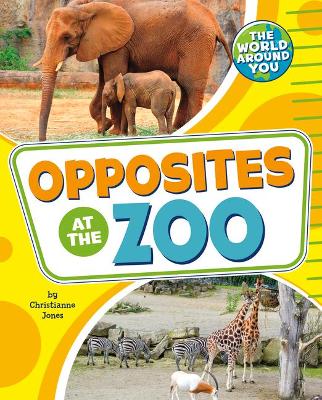 Opposites at the Zoo book