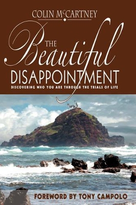 Beautiful Disappointment book