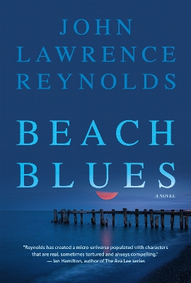 Beach Blues book