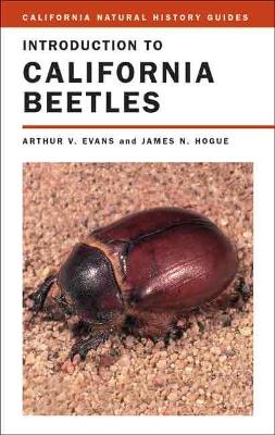 Introduction to California Beetles book