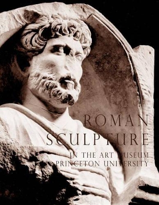 Roman Sculpture in the Art Museum, Princeton University book