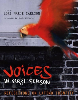 Voices In the First Person: Reflections On Latino Identity book