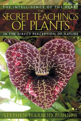 Secret Teachings of Plants book