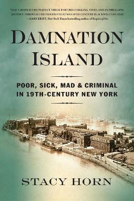 Damnation Island: Poor, Sick, Mad, and Criminal in 19th-Century New York book