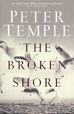 The Broken Shore book