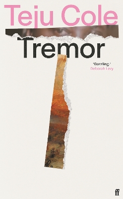 Tremor: 'Dazzling.' Deborah Levy by Teju Cole