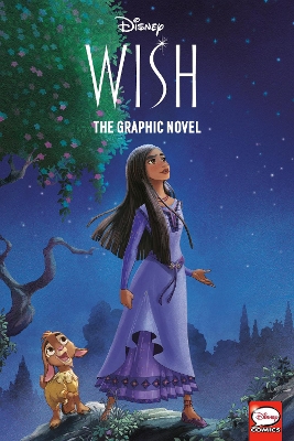 Disney Wish: The Graphic Novel book
