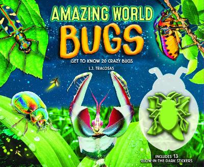 Amazing World: Bugs book