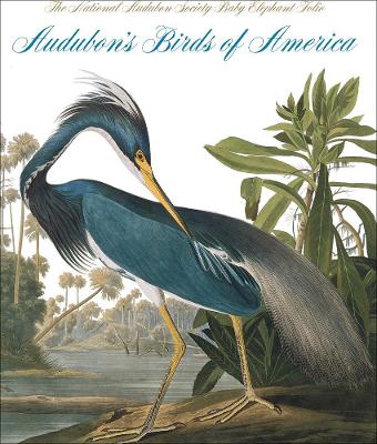 Audubon's Birds of America book