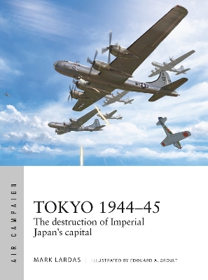 Tokyo 1944–45: The destruction of Imperial Japan's capital book