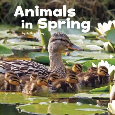 Animals in Spring by Kathryn Clay