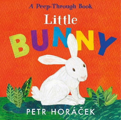 Little Bunny book