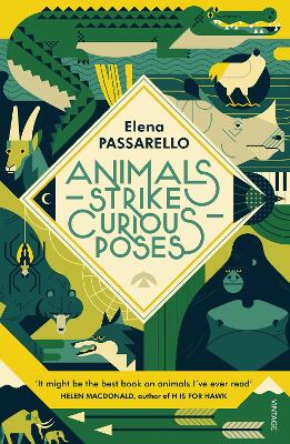 Animals Strike Curious Poses by Elena Passarello