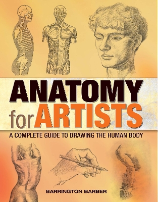 Anatomy for Artists: A Complete Guide to Drawing the Human Body book