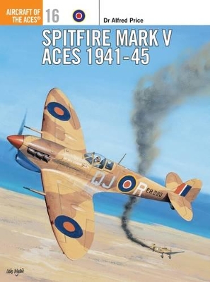 Spitfire Mark V Aces 1941-45 book