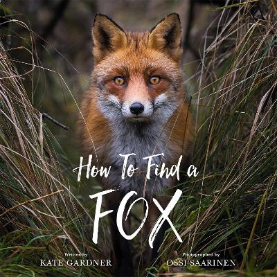 How to Find a Fox book