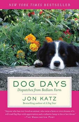 Dog Days book