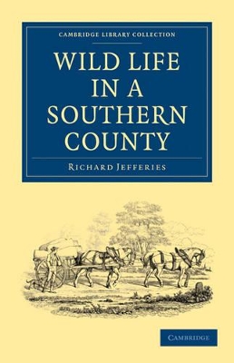 Wild Life in a Southern County book