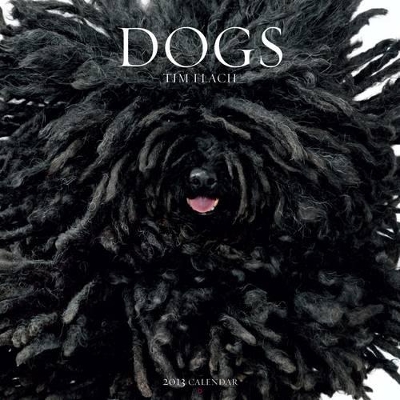 Dogs 2013 Wall Calendar book