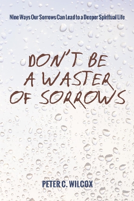 Don't Be a Waster of Sorrows book