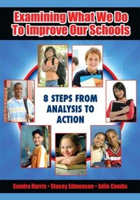 Examining What We Do To Improve Our Schools book