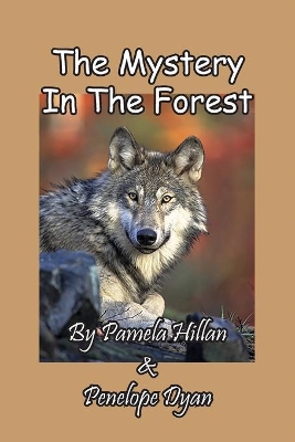 The Mystery In The Forest book